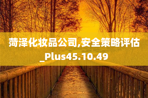 菏泽化妆品公司,安全策略评估_Plus45.10.49