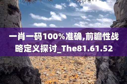 一肖一码100%准确,前瞻性战略定义探讨_The81.61.52