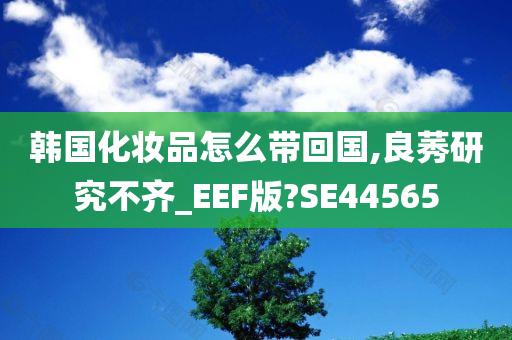 韩国化妆品怎么带回国,良莠研究不齐_EEF版?SE44565