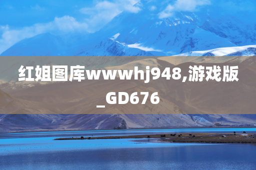 红姐图库wwwhj948,游戏版_GD676