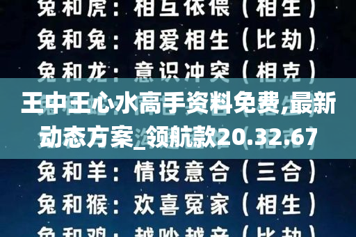 王中王心水高手资料免费,最新动态方案_领航款20.32.67