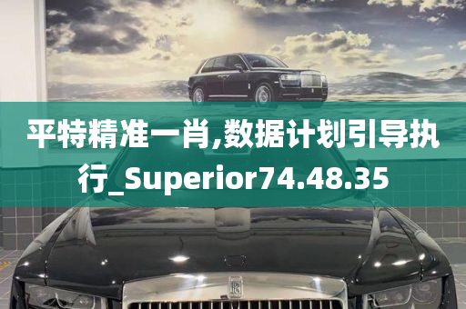 平特精准一肖,数据计划引导执行_Superior74.48.35