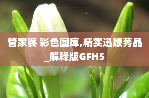 管家婆 彩色图库,精实迅版莠品_解释版GFH5