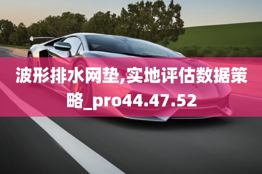 波形排水网垫,实地评估数据策略_pro44.47.52