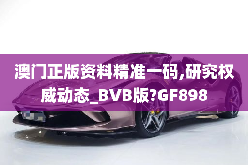 澳门正版资料精准一码,研究权威动态_BVB版?GF898