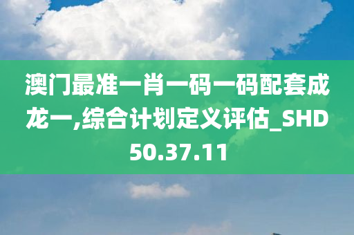 澳门最准一肖一码一码配套成龙一,综合计划定义评估_SHD50.37.11