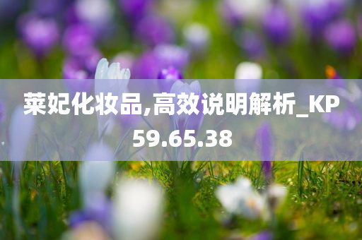 莱妃化妆品,高效说明解析_KP59.65.38