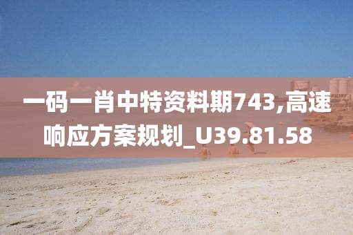 一码一肖中特资料期743,高速响应方案规划_U39.81.58