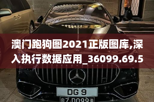 澳门跑狗图2021正版图库,深入执行数据应用_36099.69.50