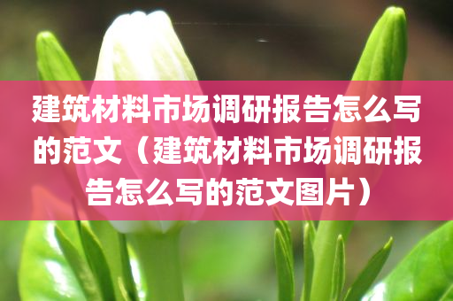 建筑材料市场调研报告怎么写的范文（建筑材料市场调研报告怎么写的范文图片）