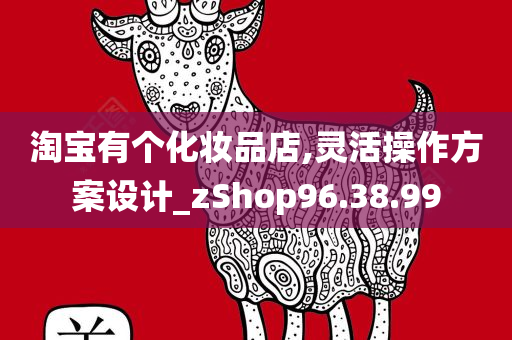 淘宝有个化妆品店,灵活操作方案设计_zShop96.38.99