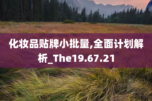 化妆品贴牌小批量,全面计划解析_The19.67.21