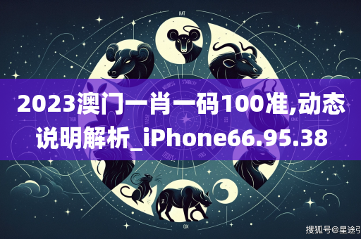 2023澳门一肖一码100准,动态说明解析_iPhone66.95.38