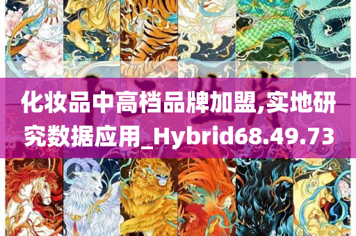 化妆品中高档品牌加盟,实地研究数据应用_Hybrid68.49.73