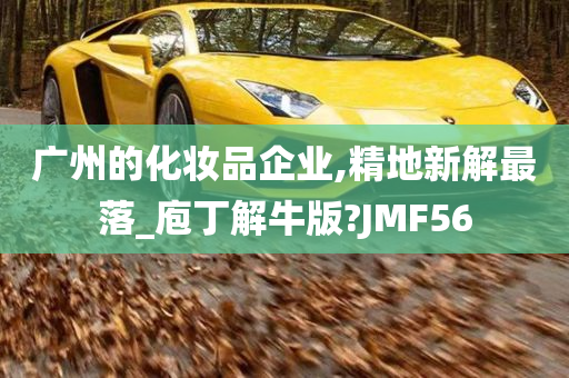 广州的化妆品企业,精地新解最落_庖丁解牛版?JMF56