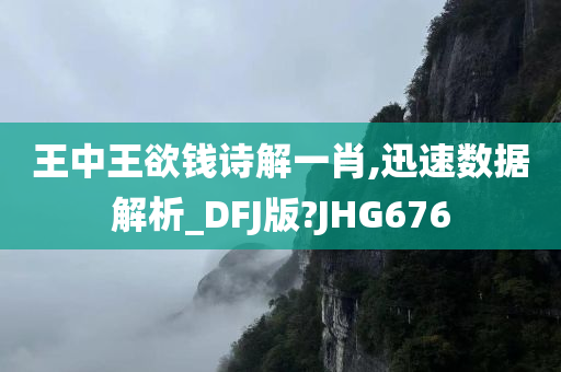 王中王欲钱诗解一肖,迅速数据解析_DFJ版?JHG676