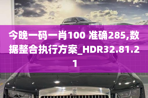 今晚一码一肖100 准确285,数据整合执行方案_HDR32.81.21