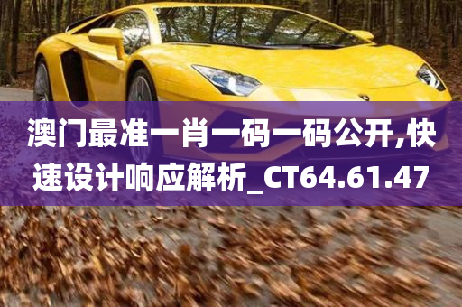 澳门最准一肖一码一码公开,快速设计响应解析_CT64.61.47