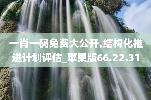 一肖一码免费大公开,结构化推进计划评估_苹果版66.22.31