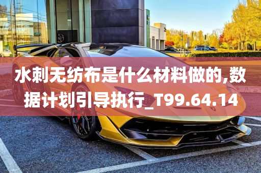 水刺无纺布是什么材料做的,数据计划引导执行_T99.64.14