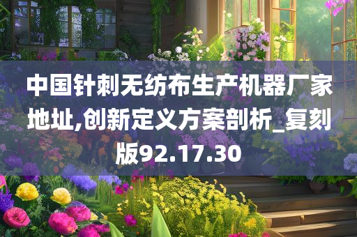 中国针刺无纺布生产机器厂家地址,创新定义方案剖析_复刻版92.17.30