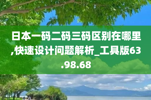 日本一码二码三码区别在哪里,快速设计问题解析_工具版63.98.68