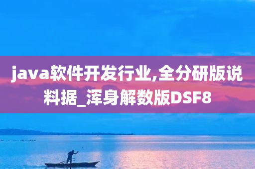 java软件开发行业,全分研版说料据_浑身解数版DSF8