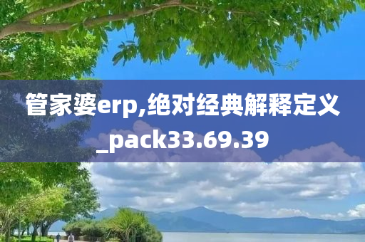 管家婆erp,绝对经典解释定义_pack33.69.39