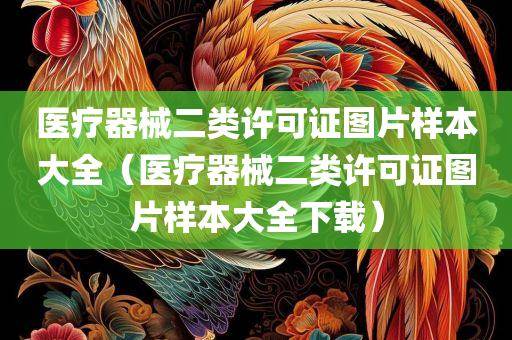 医疗器械二类许可证图片样本大全（医疗器械二类许可证图片样本大全下载）