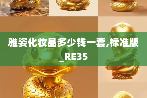 雅姿化妆品多少钱一套,标准版_RE35