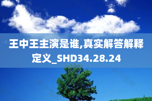 王中王主演是谁,真实解答解释定义_SHD34.28.24