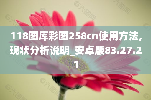 118图库彩图258cn使用方法,现状分析说明_安卓版83.27.21