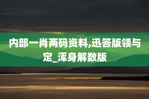 内部一肖两码资料,迅答版领与定_浑身解数版