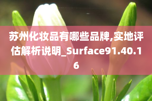 苏州化妆品有哪些品牌,实地评估解析说明_Surface91.40.16