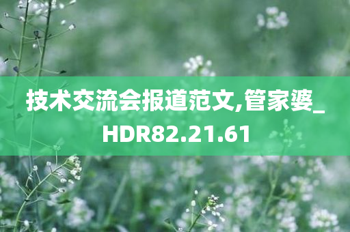 技术交流会报道范文,管家婆_HDR82.21.61