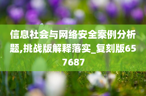 信息社会与网络安全案例分析题,挑战版解释落实_复刻版657687