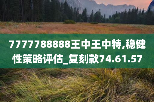 7777788888王中王中特,稳健性策略评估_复刻款74.61.57