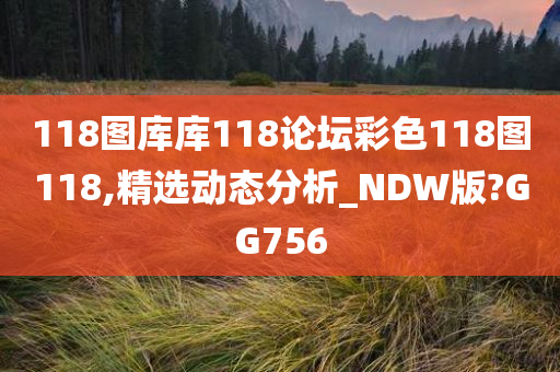 118图库库118论坛彩色118图118,精选动态分析_NDW版?GG756