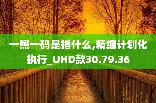 一照一码是指什么,精细计划化执行_UHD款30.79.36