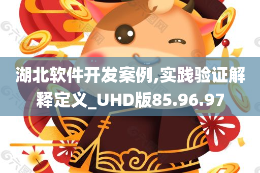 湖北软件开发案例,实践验证解释定义_UHD版85.96.97