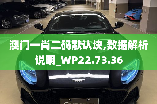 澳门一肖二码默认块,数据解析说明_WP22.73.36