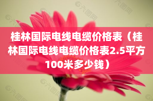 桂林国际电线电缆价格表（桂林国际电线电缆价格表2.5平方100米多少钱）