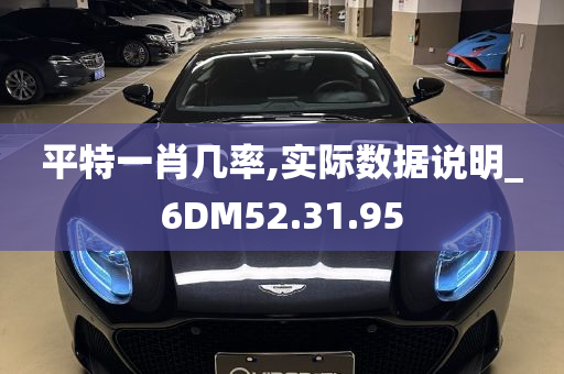 平特一肖几率,实际数据说明_6DM52.31.95