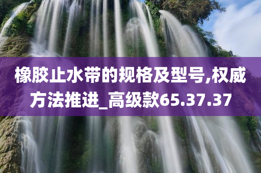 橡胶止水带的规格及型号,权威方法推进_高级款65.37.37