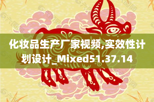 化妆品生产厂家视频,实效性计划设计_Mixed51.37.14