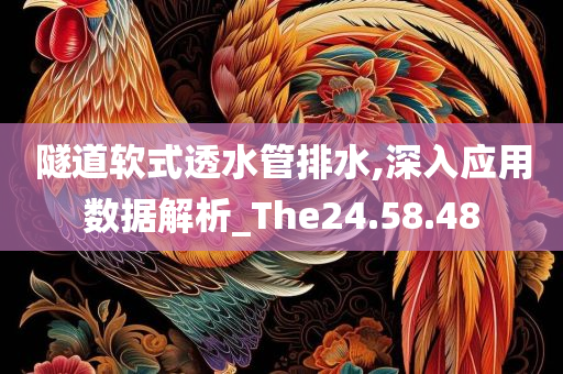 隧道软式透水管排水,深入应用数据解析_The24.58.48