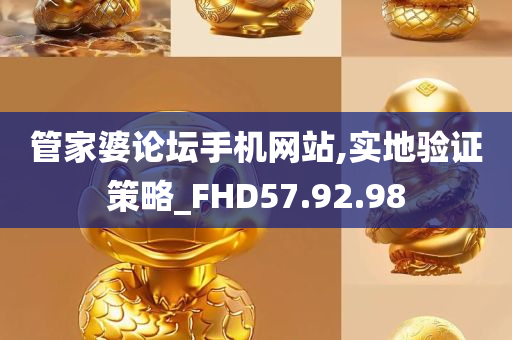 管家婆论坛手机网站,实地验证策略_FHD57.92.98