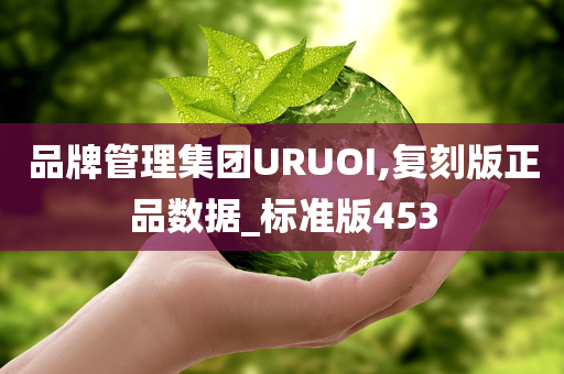 品牌管理集团URUOI,复刻版正品数据_标准版453