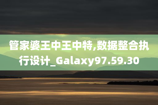 管家婆王中王中特,数据整合执行设计_Galaxy97.59.30