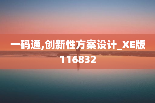 一码通,创新性方案设计_XE版116832